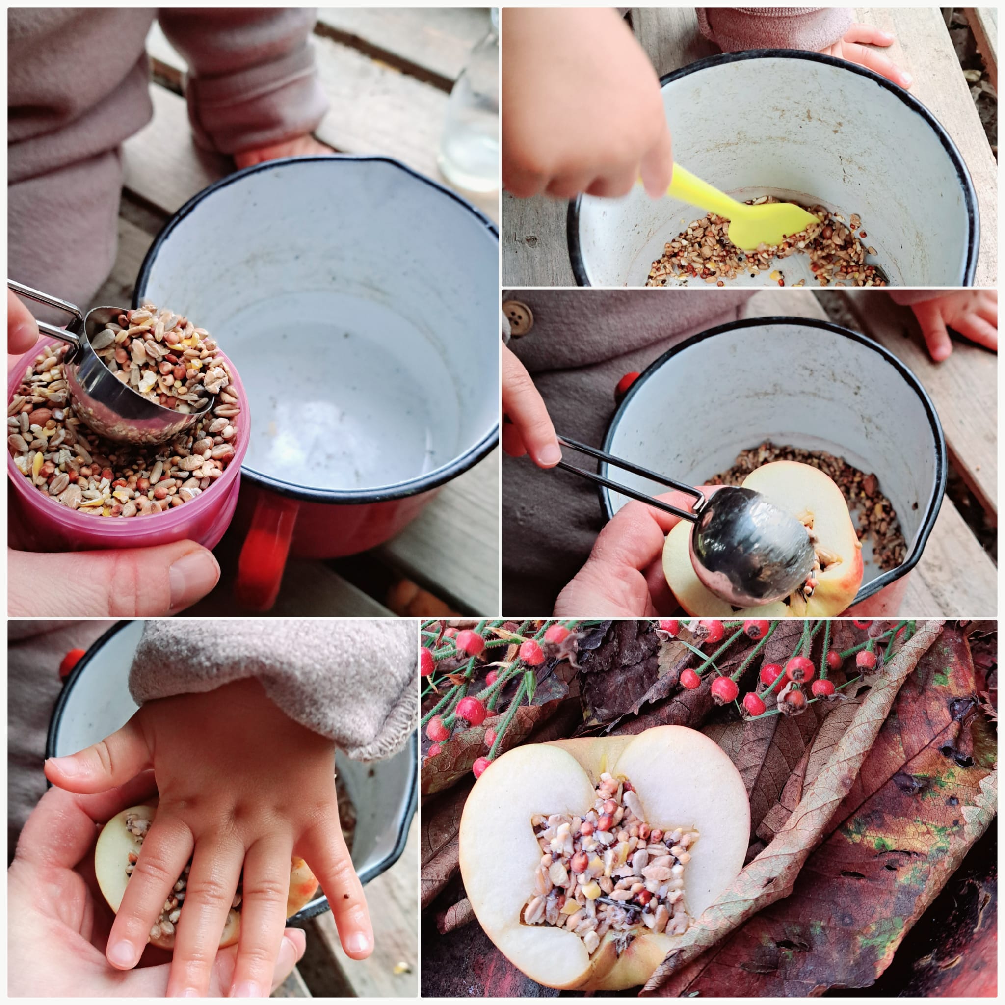 DIY-Vogelfutter selber machen: Eine kreative Herbstaktivität für kleine Entdecker