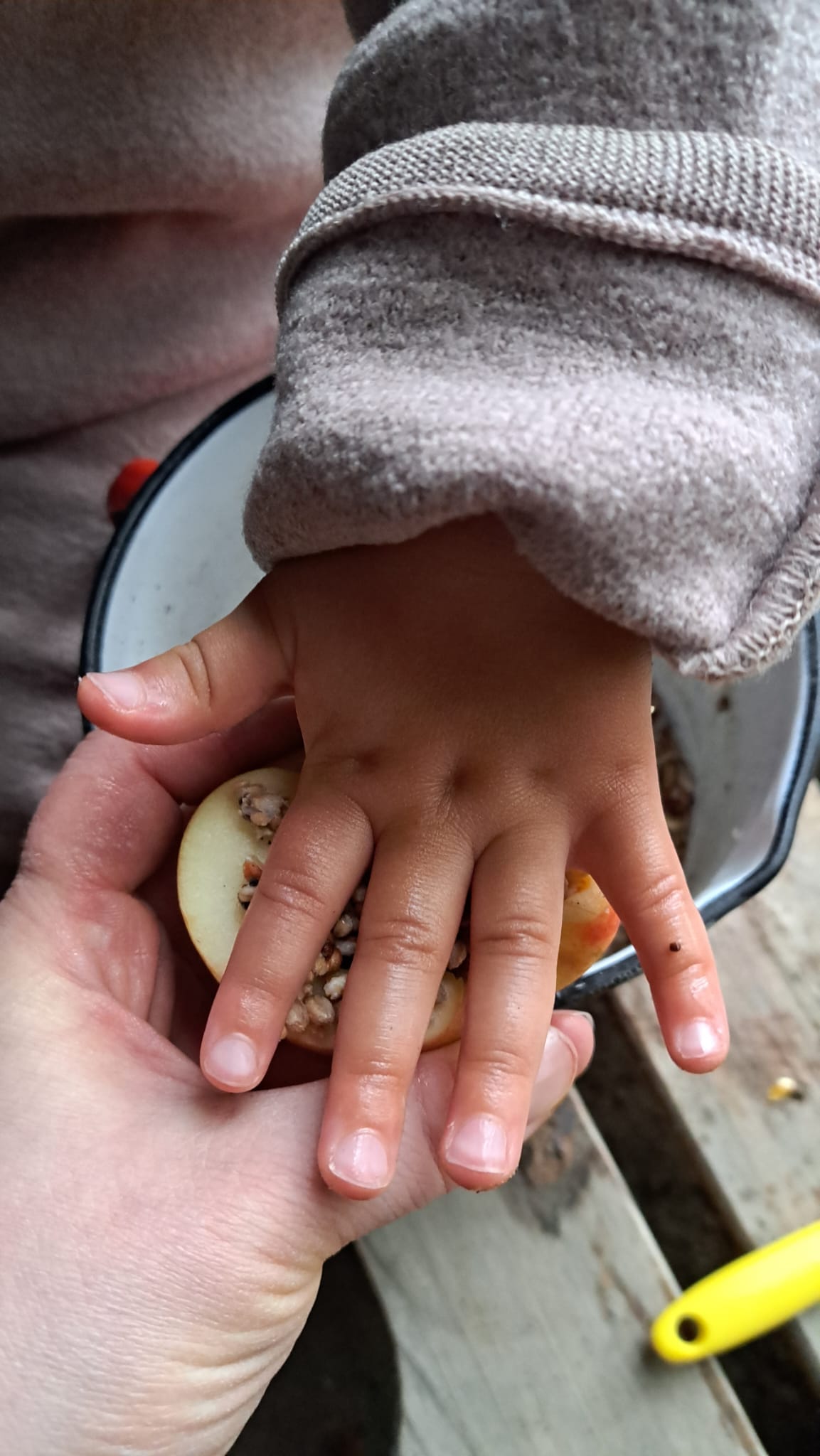 DIY-Vogelfutter selber machen: Eine kreative Herbstaktivität für kleine Entdecker